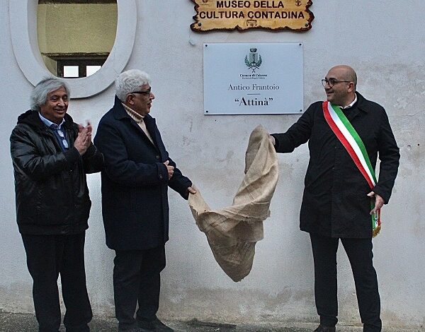 museo contadino - villamesa di calanna