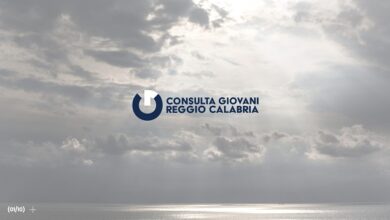 Consulta Giovani della Città Metropolitana di Reggio Calabria (APS)