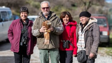 liberazione nibbio reale - parco aspromonte