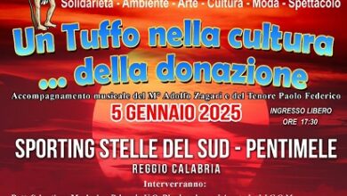 Tuffo nella cultura della donazione - associazione febiadi reggio