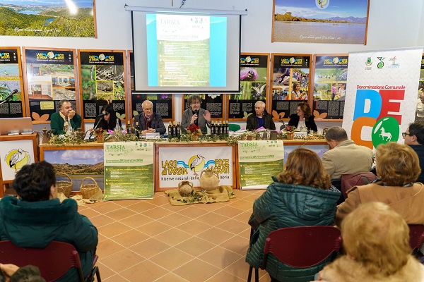 festa dell'olio - tarsia