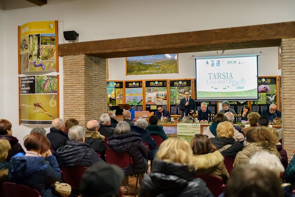 festa dell'olio - tarsia