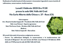 evento Broccolo di Bisignano - rose