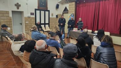 riunione comitati di quartiere reggio