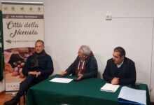 assemblea Consorzio Valorizzazione Tutela Nocciola di Calabria