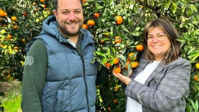 marmellata Clementine di Calabria IGP