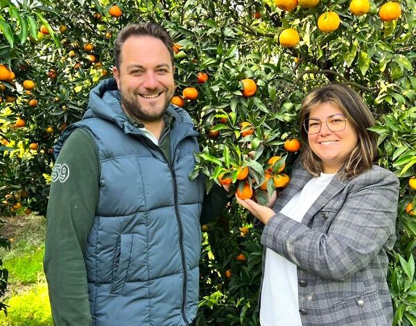 marmellata Clementine di Calabria IGP