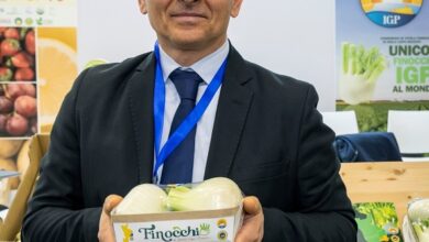 nuovo packaging - Finocchio IGP di Isola Capo Rizzuto