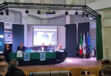 presentazione Un futuro senza barriere - lamezia terme