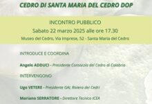 evento consorzio tutela del cedro